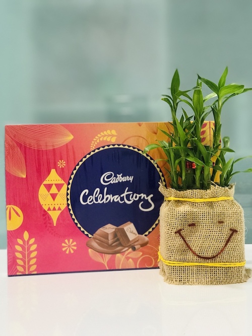 Celebration Bamboo